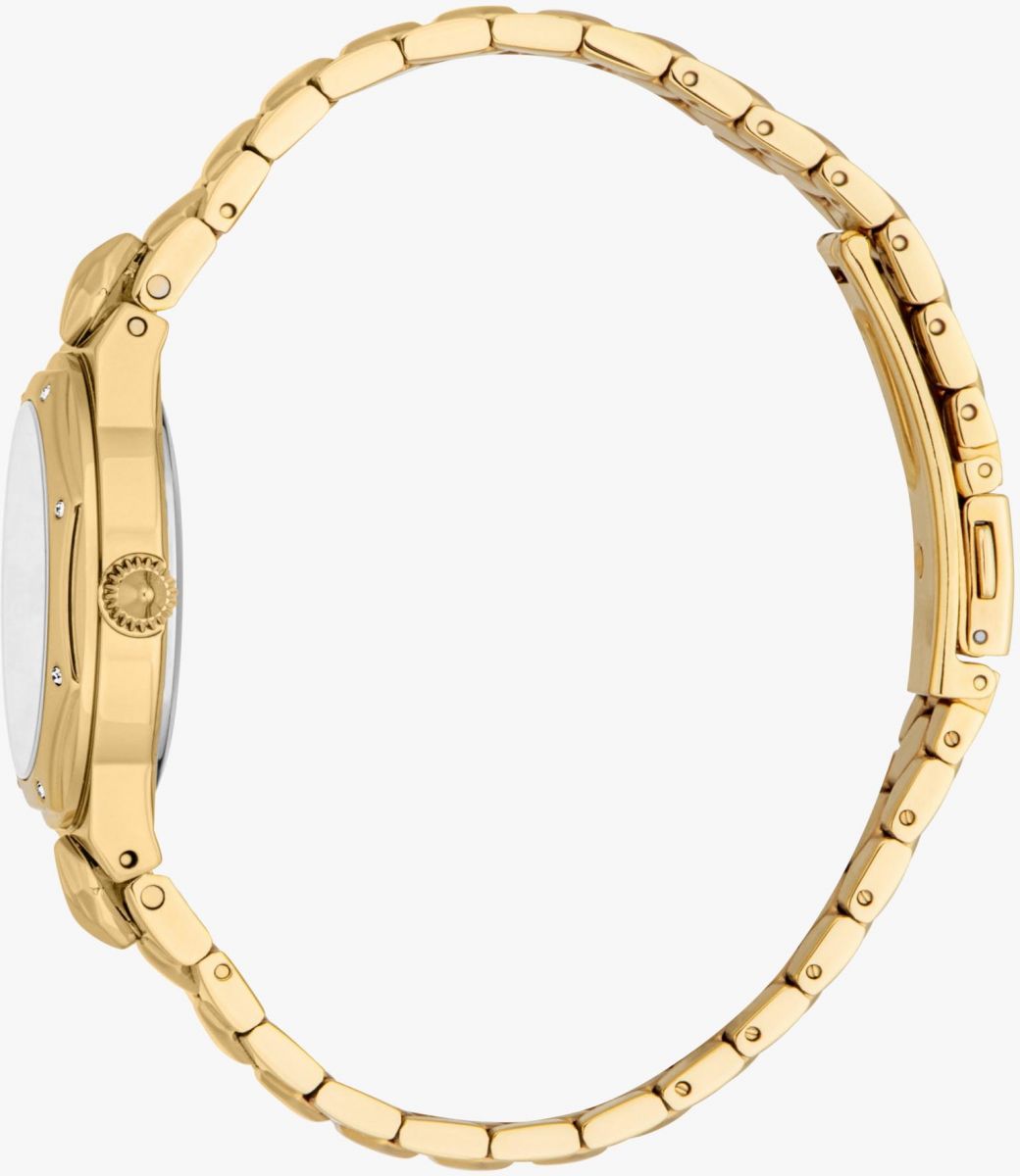 Γυναικείο Ρολόι Just Cavalli (JC1L277M0025)