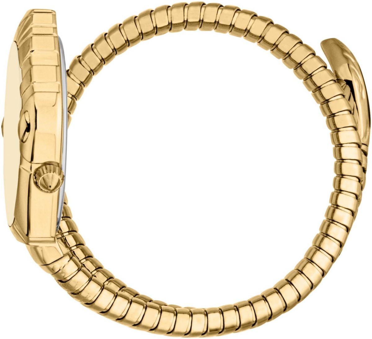 Γυναικείο Ρολόι Just Cavalli (JC1L357M0025)