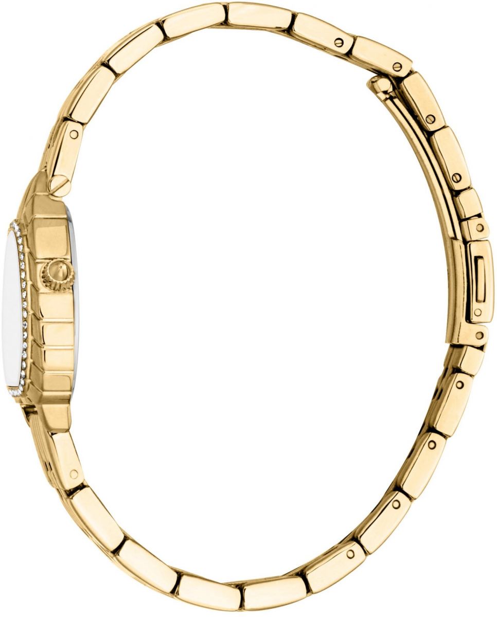 Γυναικείο Ρολόι Just Cavalli (JC1L366M0055)